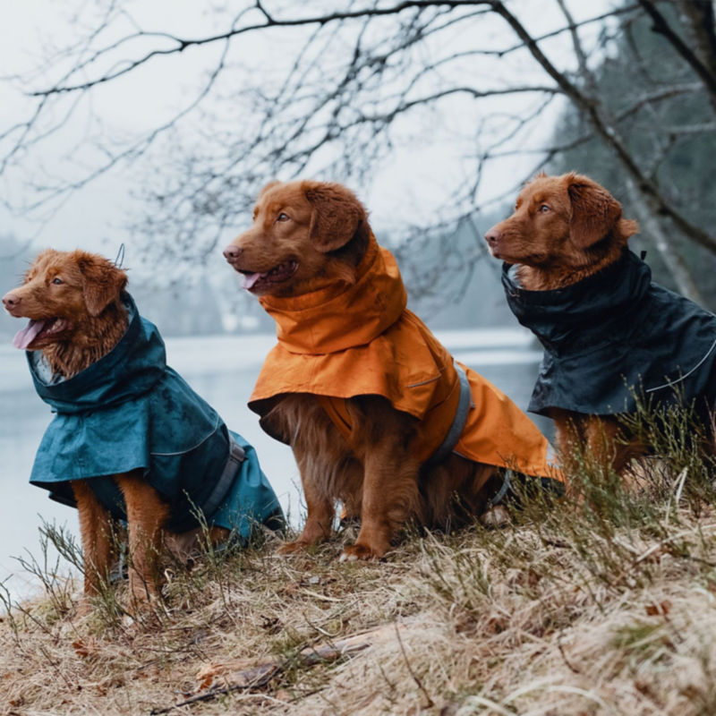 Hurtta Monsoon Dog Coat