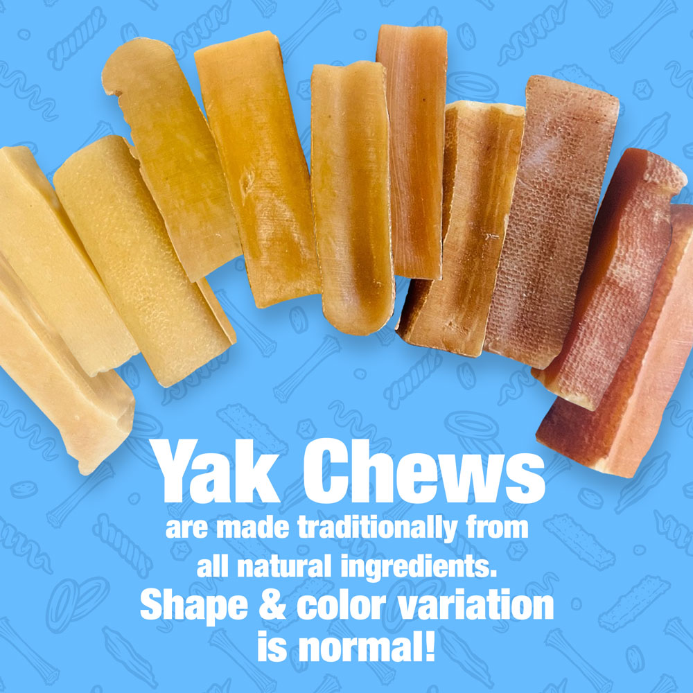 Himalayan Yak Cheese Dog Chews, Medium, 50 ct BULK PACK - Long-Lasting for Aggressive Chewers, All Natural, Healthy & Safe, Low Odor Nepal Yak Milk Chews 